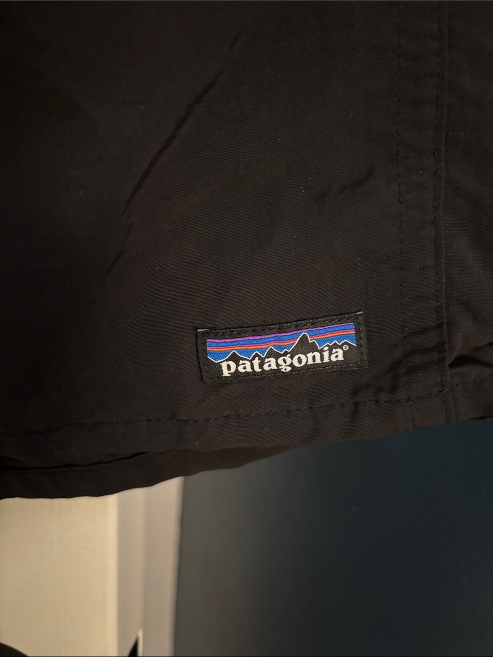 Patagonia Black Shorts with Multicolor Mountain Tab